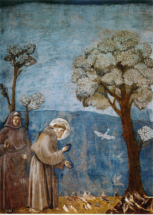 Giotto Vogelpredigt 300px